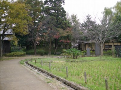 難波田城公園の写真11