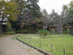 難波田城公園の写真のサムネイル写真11