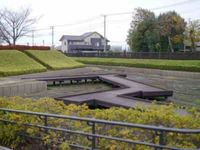 難波田城公園の写真36