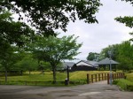 難波田城公園の写真のサムネイル写真39