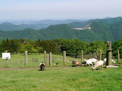 彩の国ふれあい牧場の写真10