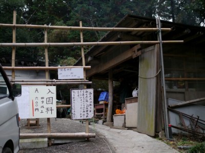 風布みかん山（上の山みかん園）の写真3