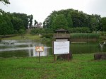 城山公園の写真のサムネイル写真29