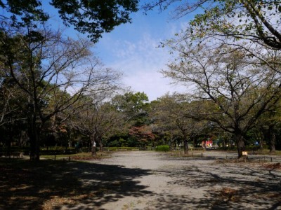 城山公園の写真