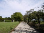 城山公園の写真のサムネイル写真3