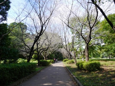 城山公園の写真9