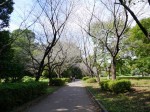 城山公園の写真のサムネイル写真9