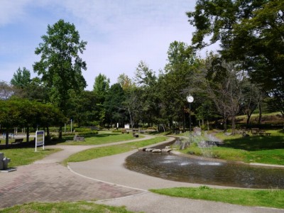 城山公園の写真10