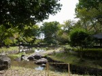 城山公園の写真のサムネイル写真13