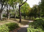 城山公園の写真のサムネイル写真14