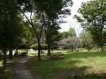 城山公園の写真のサムネイル写真15