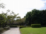 城山公園の写真のサムネイル写真23