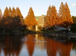 庄和総合公園の写真のサムネイル写真6
