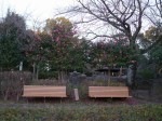 庄和総合公園の写真のサムネイル写真14