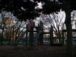 庄和総合公園の写真のサムネイル写真20