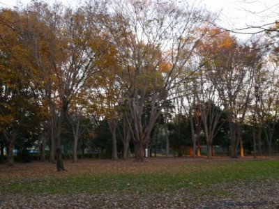 庄和総合公園の写真21