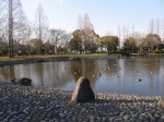 庄和総合公園の写真のサムネイル写真27