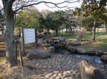 庄和総合公園の写真のサムネイル写真30