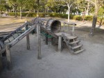 庄和総合公園の写真のサムネイル写真32