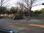 庄和総合公園の写真のサムネイル写真33