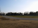 庄和総合公園の写真のサムネイル写真34