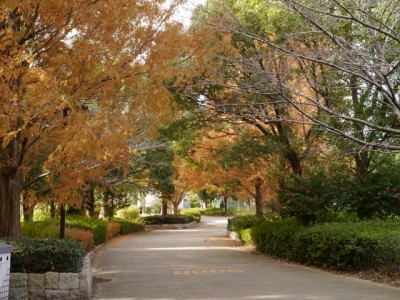 松伏記念公園・多目的調整池公園の写真