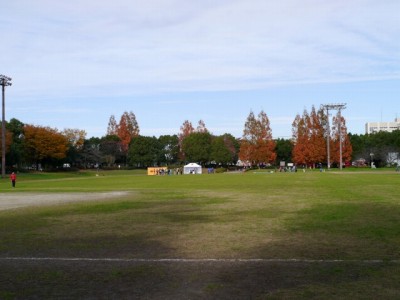 松伏記念公園・多目的調整池公園の写真3