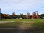 松伏記念公園・多目的調整池公園の写真のサムネイル写真3