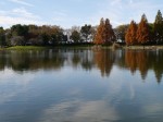 松伏記念公園・多目的調整池公園の写真のサムネイル写真10