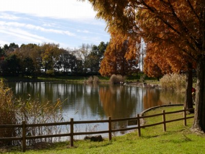 松伏記念公園・多目的調整池公園の写真21