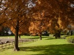 松伏記念公園・多目的調整池公園の写真のサムネイル写真22