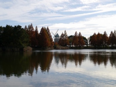 松伏記念公園・多目的調整池公園の写真23