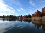 松伏記念公園・多目的調整池公園の写真のサムネイル写真26