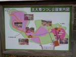 五大尊つつじ公園の写真のサムネイル写真2