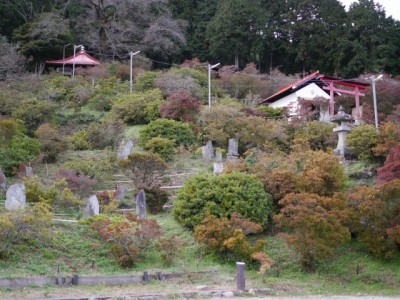 五大尊つつじ公園の写真3