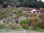 五大尊つつじ公園の写真のサムネイル写真3