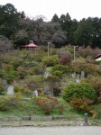 五大尊つつじ公園の写真のサムネイル写真4