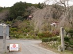 五大尊つつじ公園の写真のサムネイル写真5