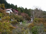 五大尊つつじ公園の写真のサムネイル写真8