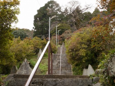 五大尊つつじ公園の写真10