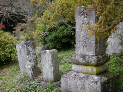 五大尊つつじ公園の写真12