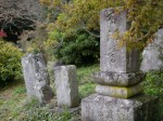 五大尊つつじ公園の写真のサムネイル写真12