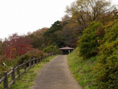 五大尊つつじ公園の写真23