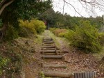 五大尊つつじ公園の写真のサムネイル写真29