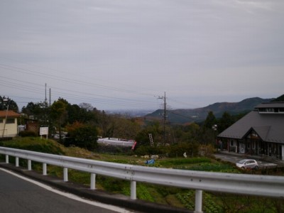 大附みかん園（井戸下園）の写真11