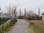 七里総合公園の写真のサムネイル写真29