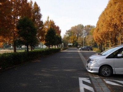 七里総合公園の写真