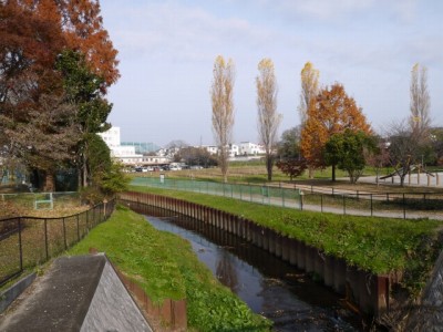 七里総合公園の写真10