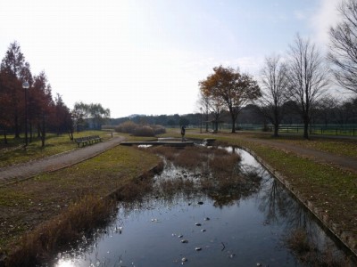 七里総合公園の写真14