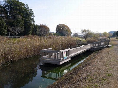 七里総合公園の写真19